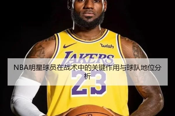 NBA明星球员在战术中的关键作用与球队地位分析